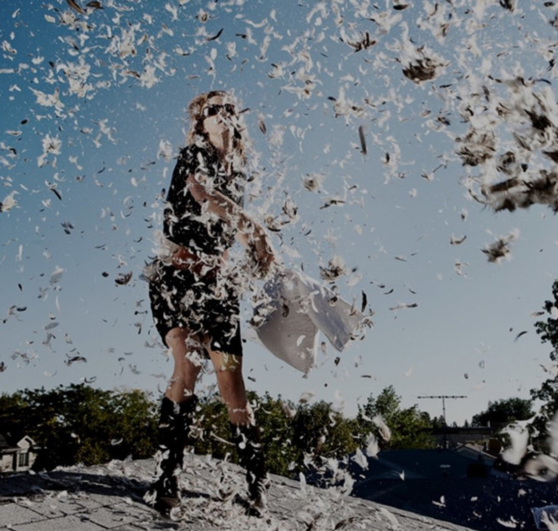 Words, Feathers & Self-Discovery